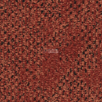 Balsan Take a Walk 540 Take a Walk фото 2 | FLOORDEALER